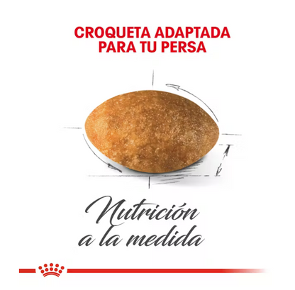 Royal Canin - Persa Adulto 3.1 kg.