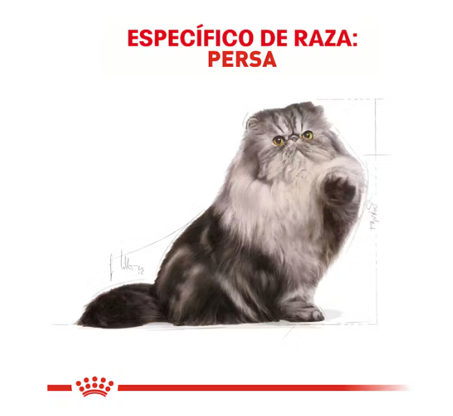 Royal Canin - Persa Adulto 3.1 kg.