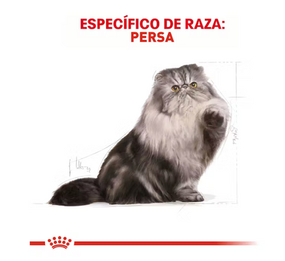Royal Canin - Persa Adulto 3.1 kg.