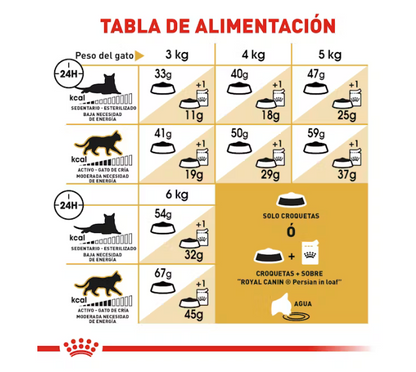 Royal Canin - Persa Adulto 3.1 kg.