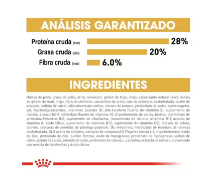 Royal Canin - Persa Adulto 3.1 kg.