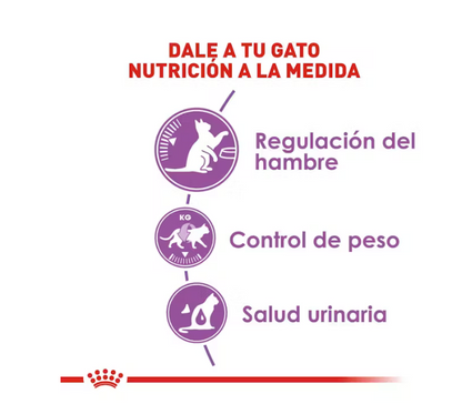 Royal Canin - Appetite Control Spayed Neutered
