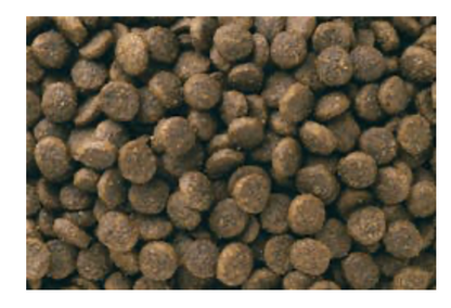 Eukanuba - PUPPY SMALL BREED