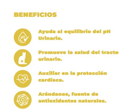 NUPEC - ALIMENTO HUMEDO FELINO URINARY 100 GR. 4 PZAS