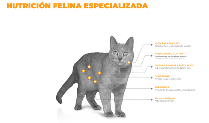 NUPEC - FELINO DIGESTIVE HEALT 1.5 KG