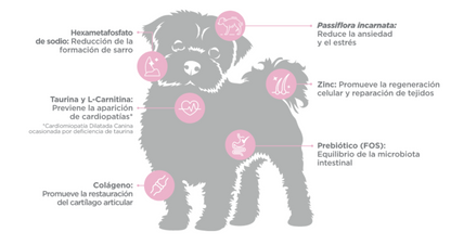 NUPEC - ADULTO RAZAS MINI