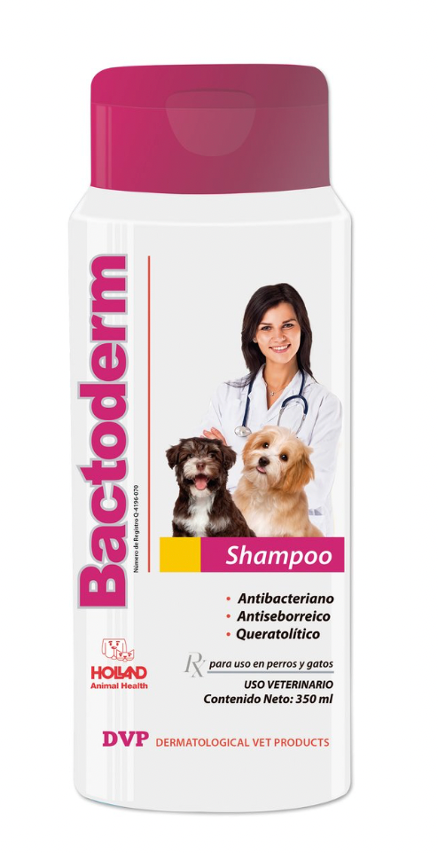 BACTODERM® SHAMPOO 350 ML