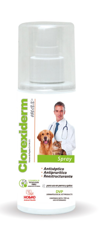 CLOREXIDERM MAX® - SPRAY