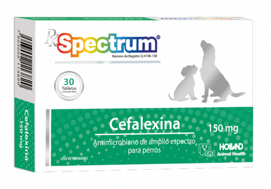 RX SPECTRUM® CEFALEXINA - 150 MG