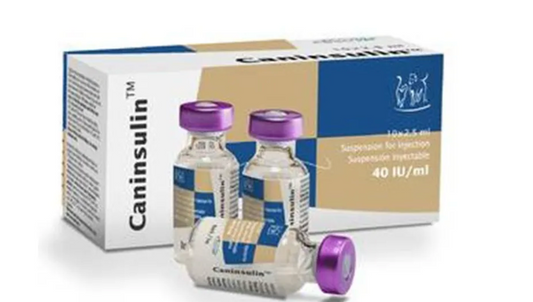 Caninsulin 1 x 2.5ml ( insulina ) - MSD