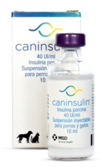 Caninsulin 10ml ( insulina ) - MSD
