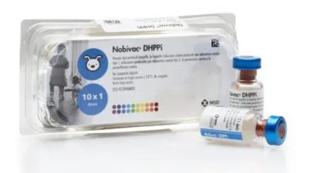 Nobivac DHPPI + RL - MSD