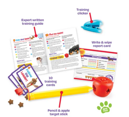 Escuela Pooch Set de Entrenamiento - Brightkins Benefits