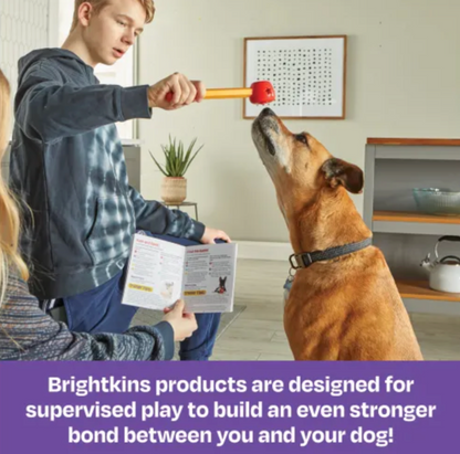 Escuela Pooch Set de Entrenamiento - Brightkins Benefits