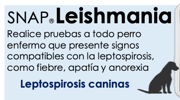 Prueba SNAP Leishmania 5 Pzas. - INDEXX