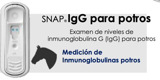 Prueba de IgG para potros SNAP 5 Pzas. - INDEXX