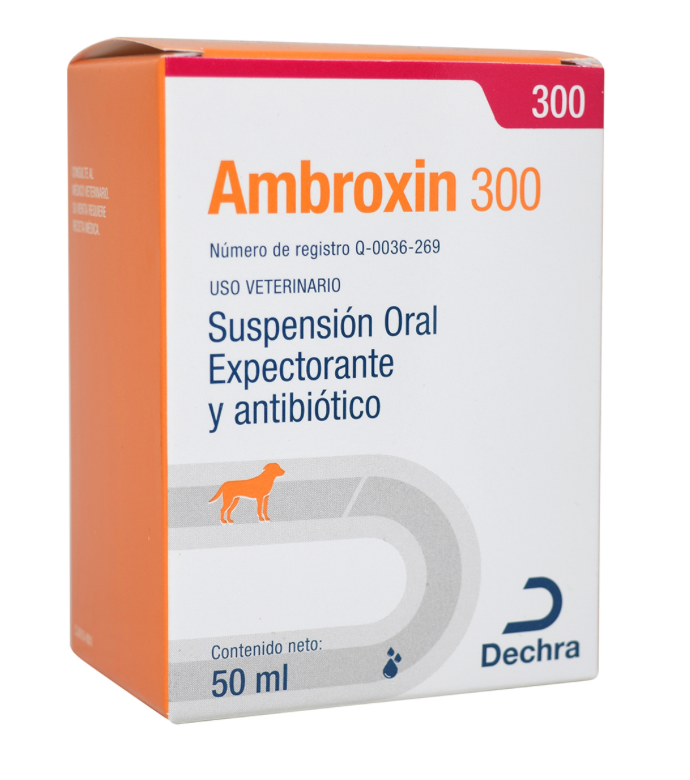Ambroxin V300 50 ml- DECHRA