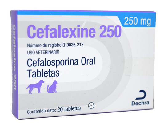 Cefalexine 250 mg 20 tabs - DECHRA