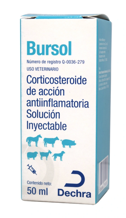 Bursol 50 ml - DECHRA