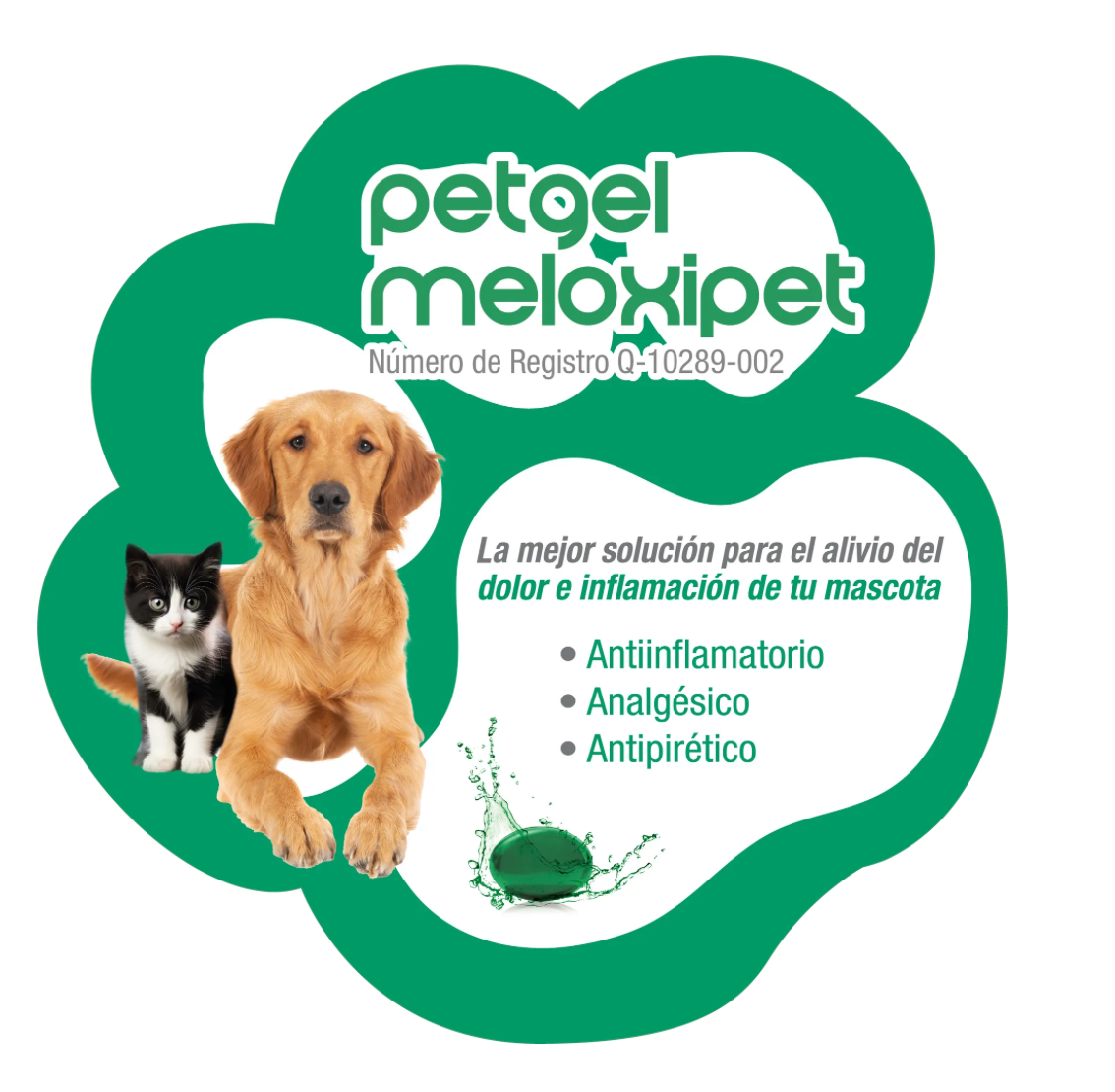 PETGEL MELOXIPET, 10 Caps. - PetGel