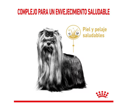 Yorkshire Terrier 8+, 1.1kg - Royal Canin