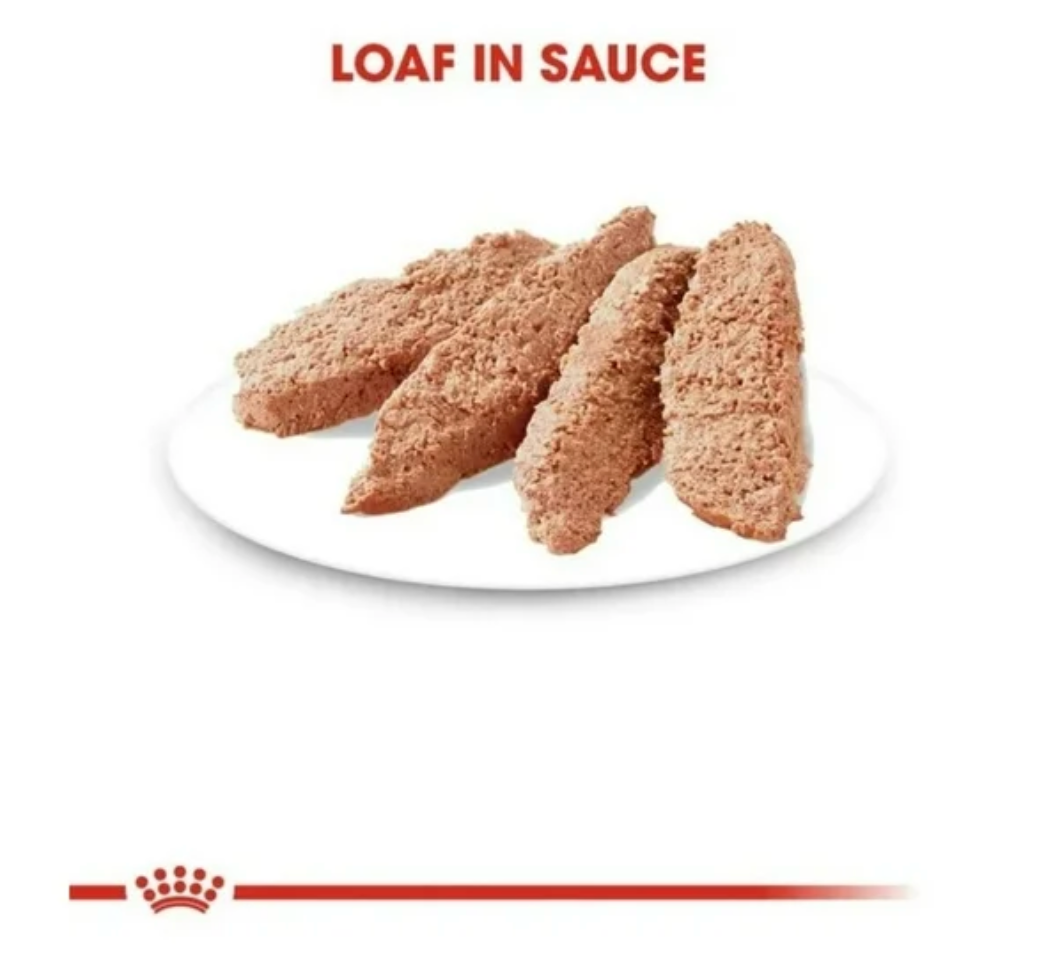 Weight Care Loaf in Sauce 0.150 grs - Royal Canin