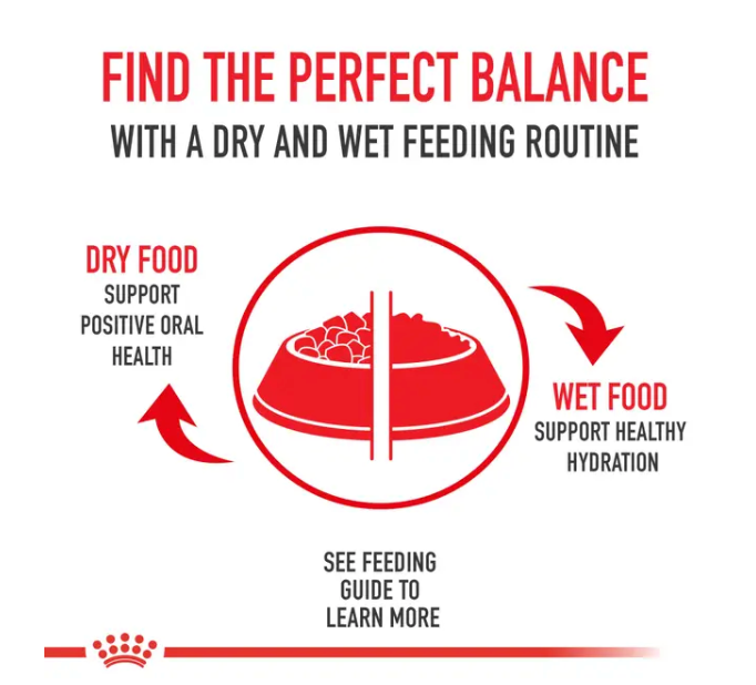 Instinctive 7+ Thin Slices in Gravy Canned Cat Food - Royal Canin