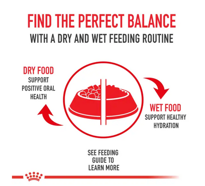 Instinctive 7+ Thin Slices in Gravy Canned Cat Food - Royal Canin