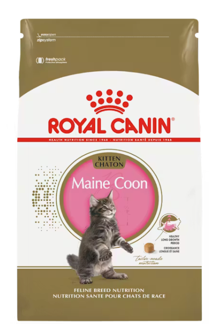 Maine Coon Kitten 1.37kg - Royal Canin