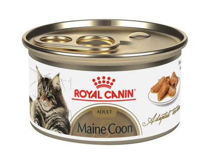 Maine Coon thin slices in gravy 0.85grs. - Royal Canin