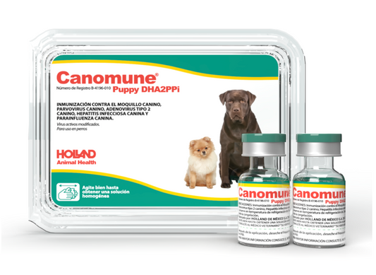 CANOMUNE® PUPPY DHA2PPI - Holland