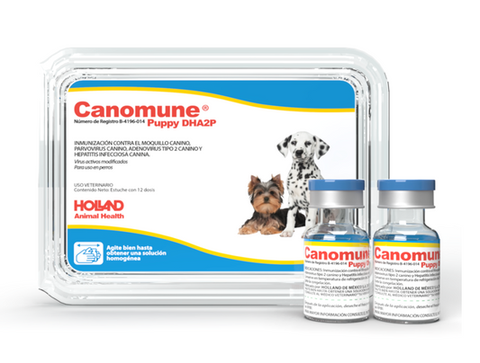 CANOMUNE® PUPPY DHA2P - Holland