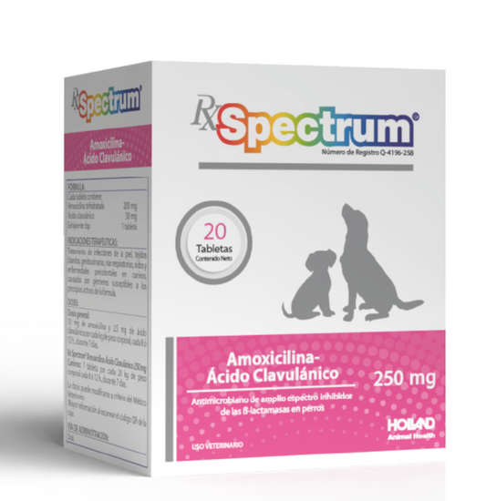 RX SPECTRUM® AMOXICILINA ÁCIDO CLAVULÁNICO 250 MG - Holland