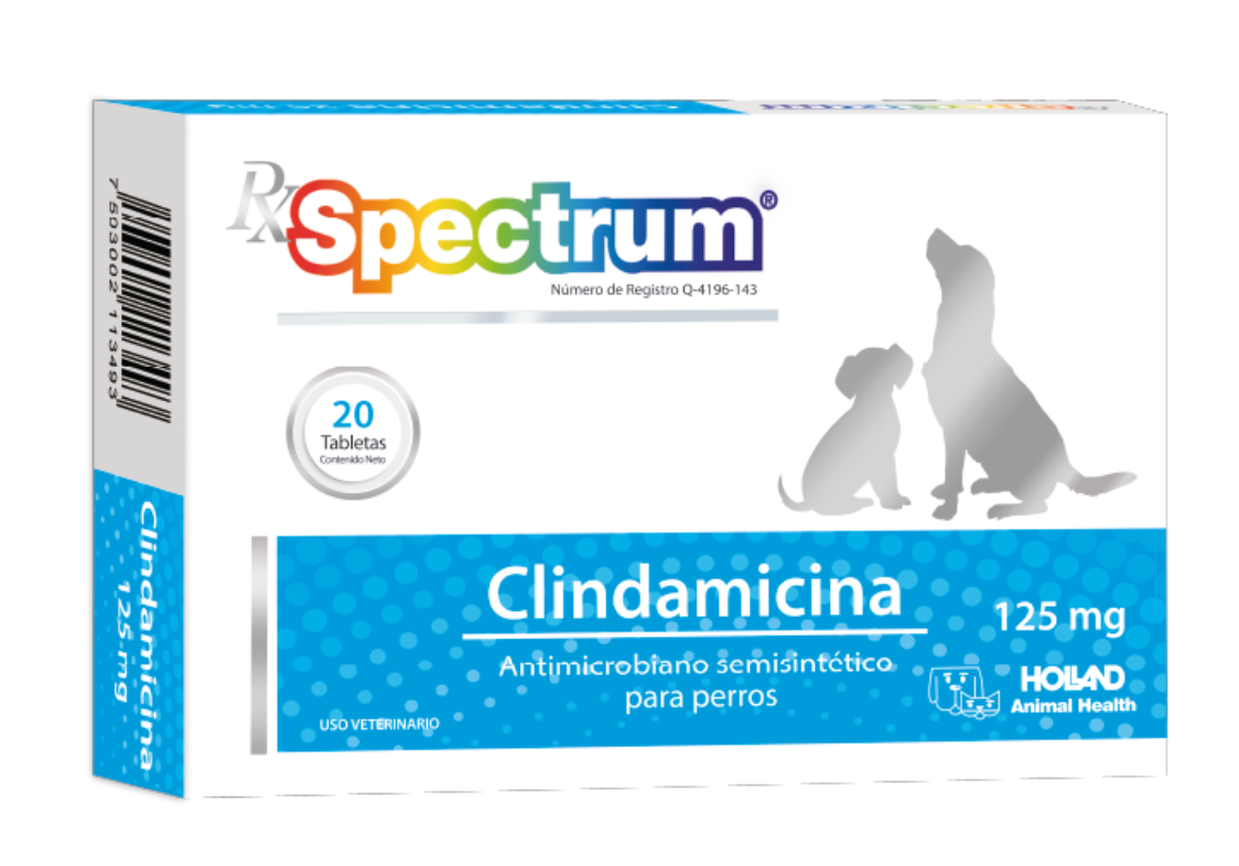RX SPECTRUM® CLINDAMICINA - Holland
