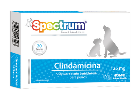 RX SPECTRUM® CLINDAMICINA - Holland