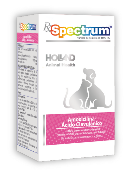 RX SPECTRUM® AMOXICILINA ÁCIDO CLAVULÁNICO,POLVO PARA SUSPENSIÓN - Holland