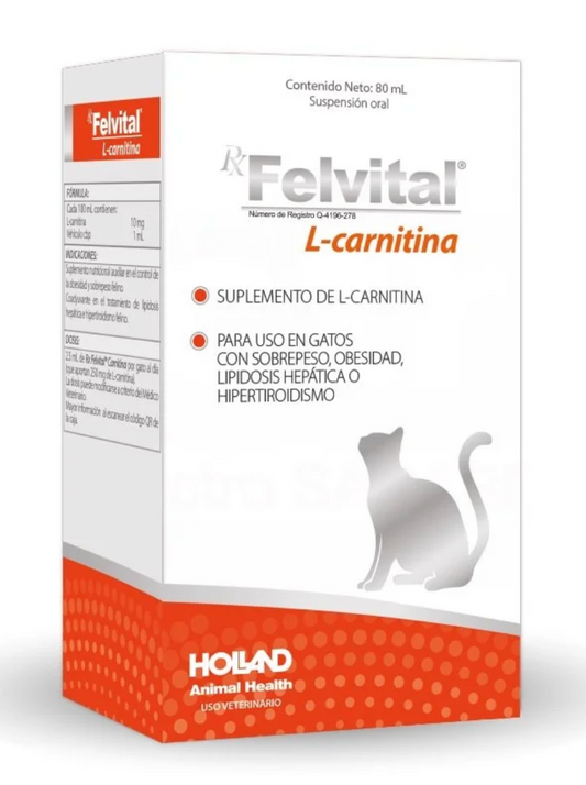 RX FELVITAL® L-CARNITINA - Holland