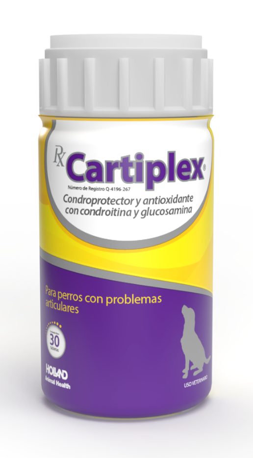 RX CARTIPLEX® - Holland