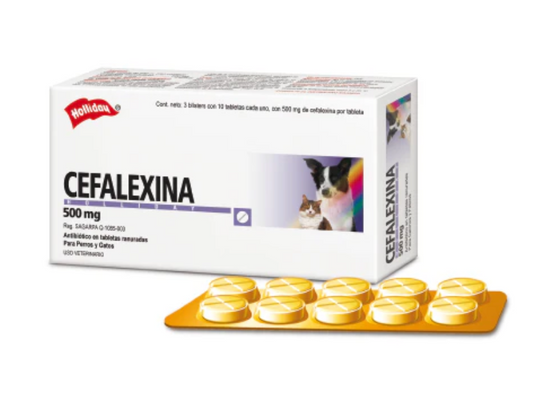 Cefalexina 500 mg. - Holliday