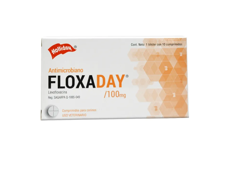 Floxaday - Holliday