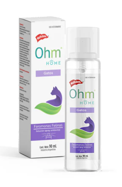 Ohm Home Gatos - Holliday