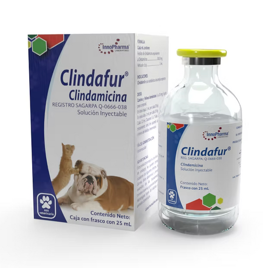 Clindafur® - Innopharma
