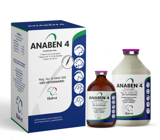 Anaben 4 - Halvet