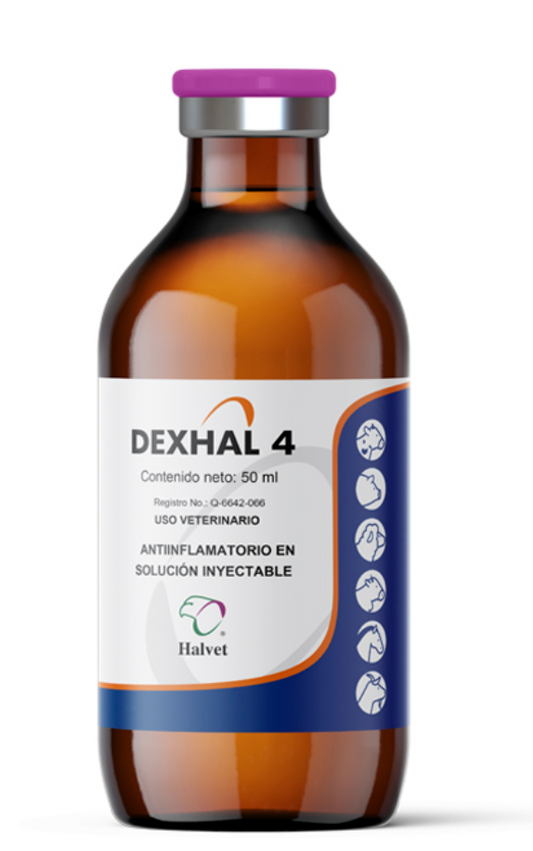 Dexhal - Halvet