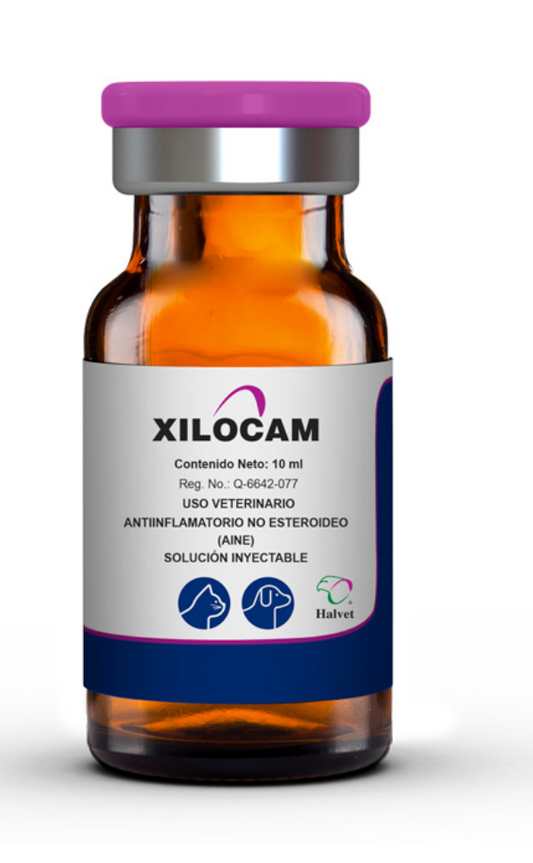 Xilocam - Halvet