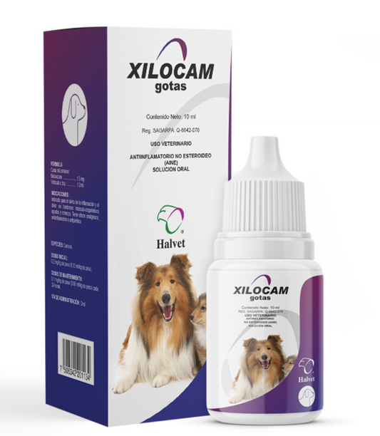 Xilocam Gotas - Halvet