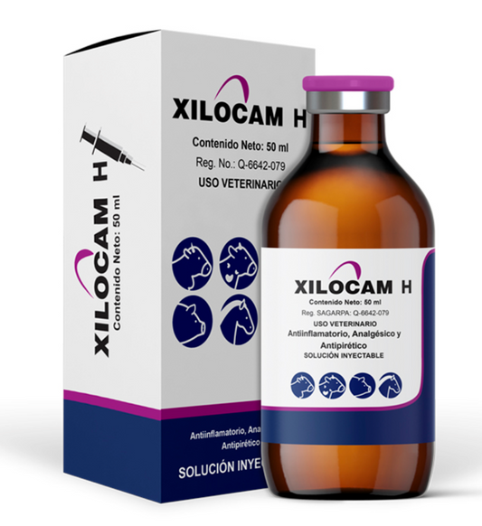 Xilocam H - Halvet