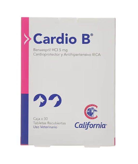 Cardio B - California