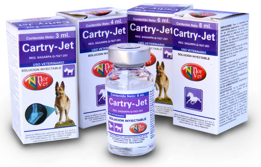 CARTRY-JET NRV 6 ML - Norvet
