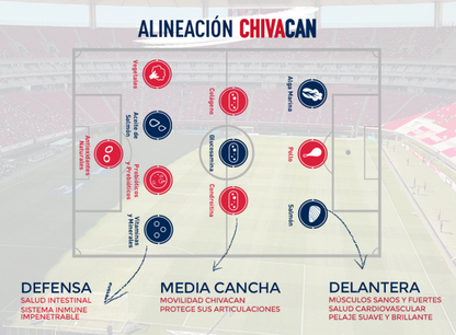 Chivacan Alimento Premium Razas Pequeñas 4 Kg. - CHIVACAN